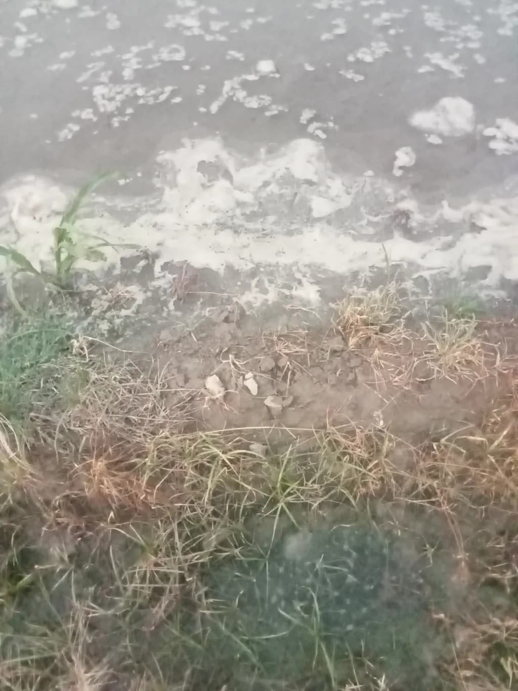 Foam and Earth Edge