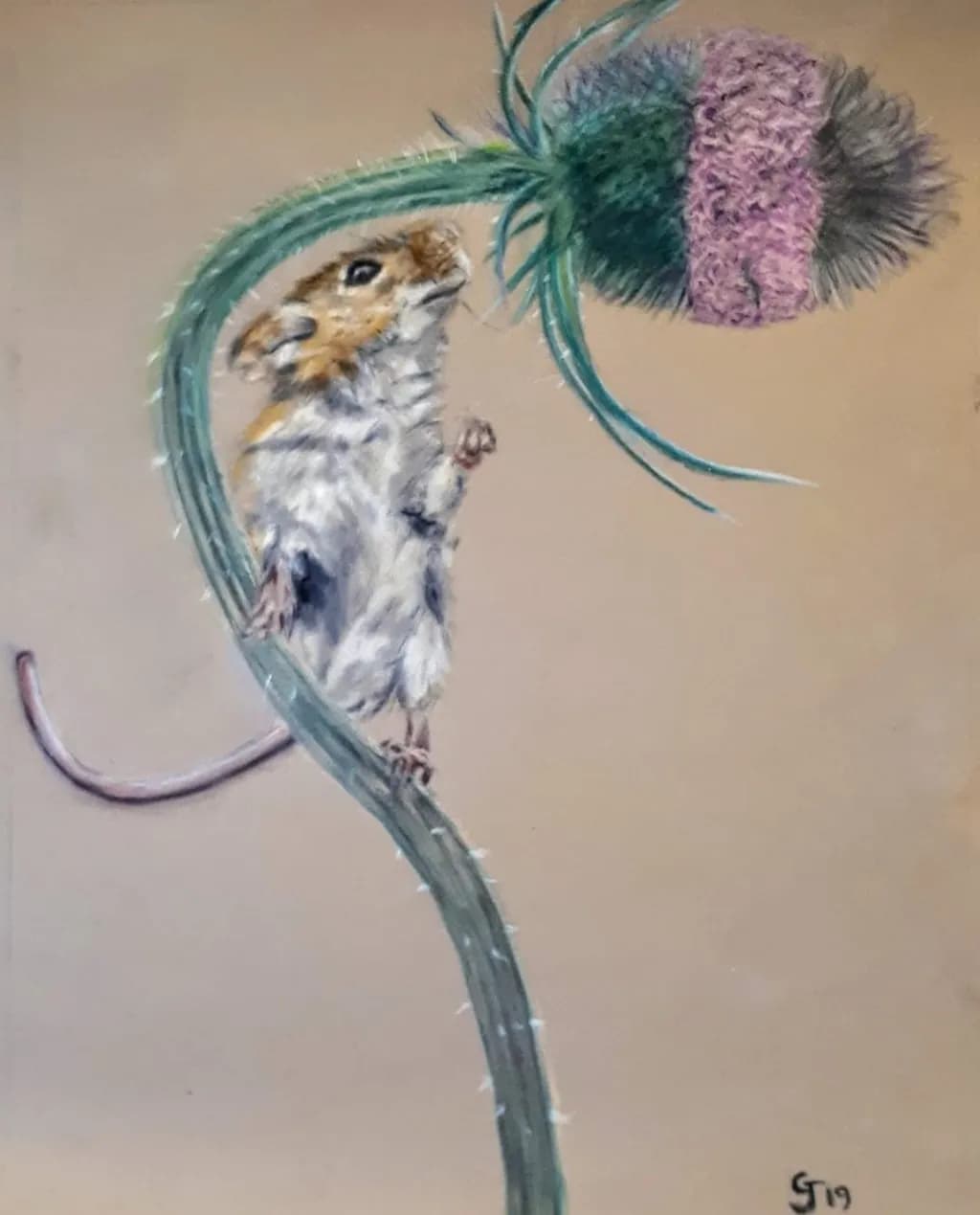 Thistle Watcher