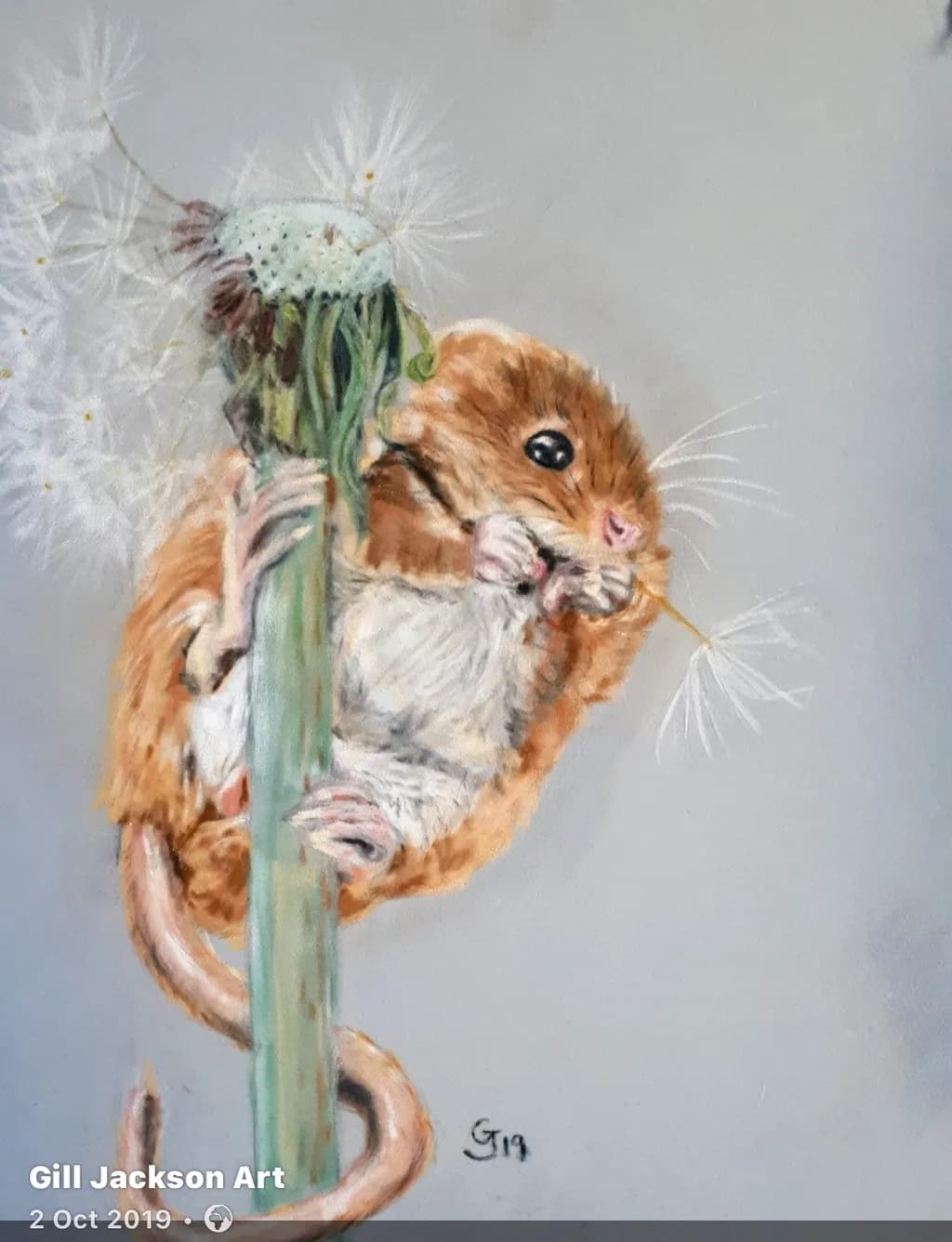 Dandelion Clinger