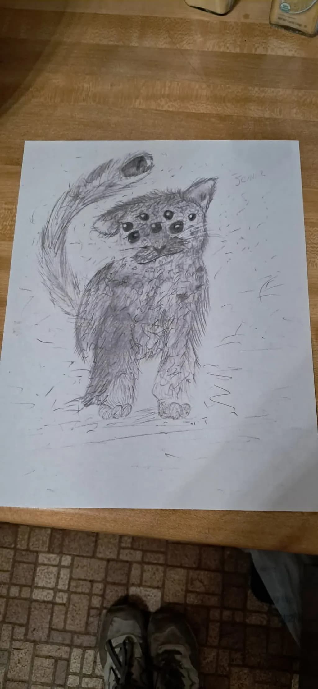 Many-Eyed Cat