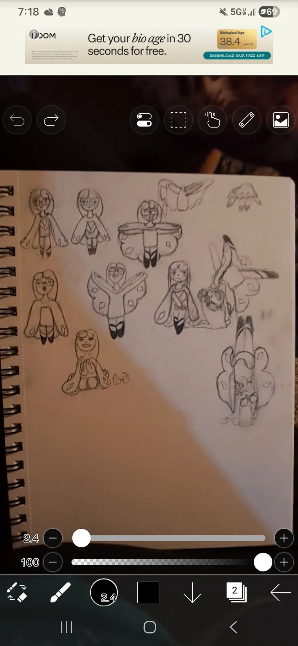 Butterfly Figures Study
