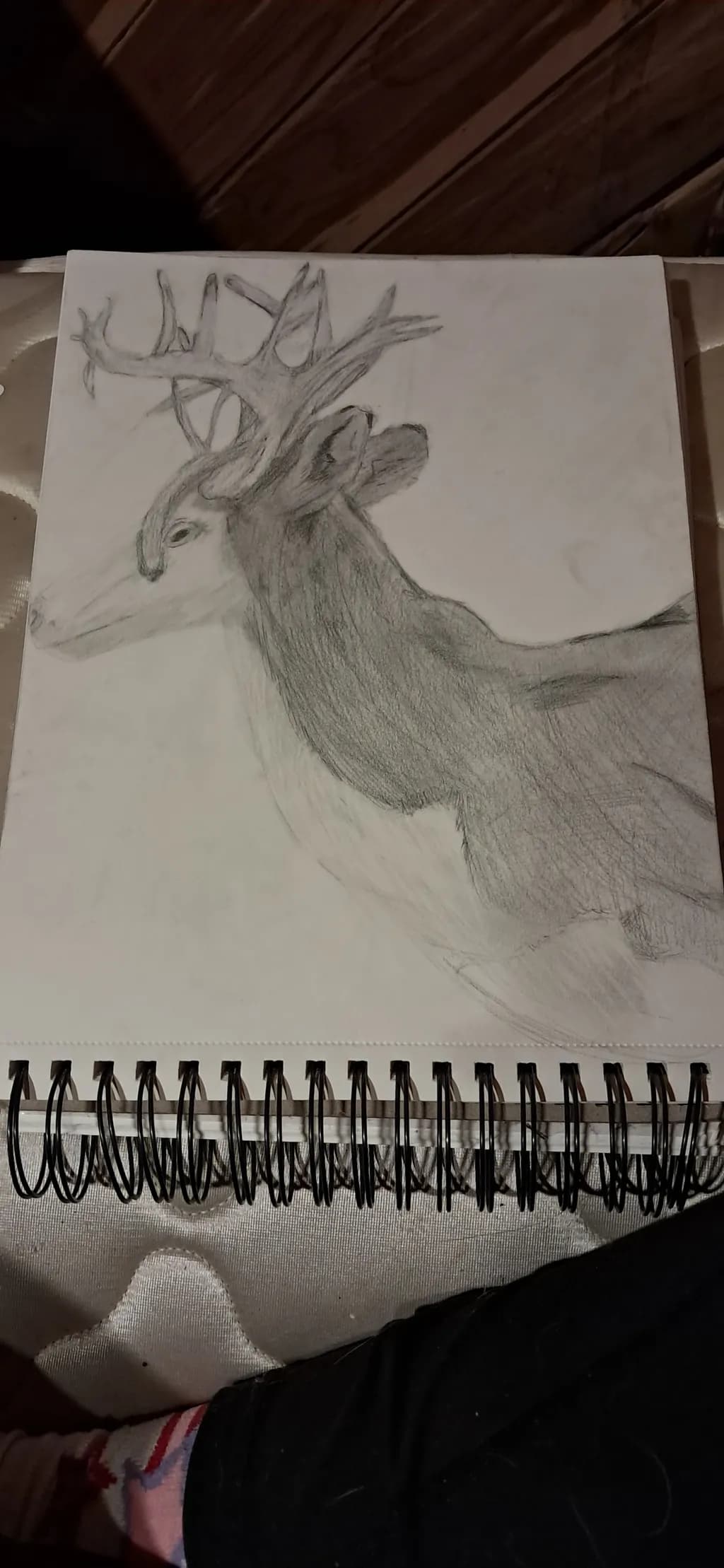 Antlered Majesty