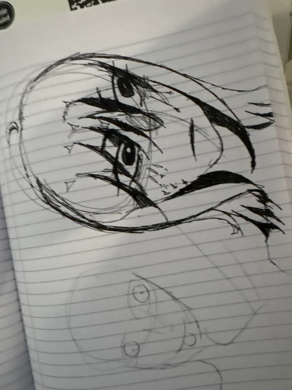 Dual Gaze Sketch