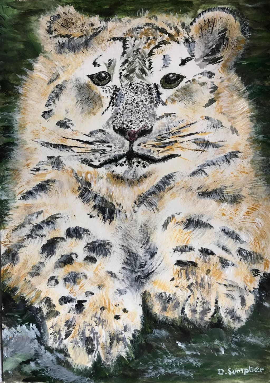 Snow Leopard Gaze