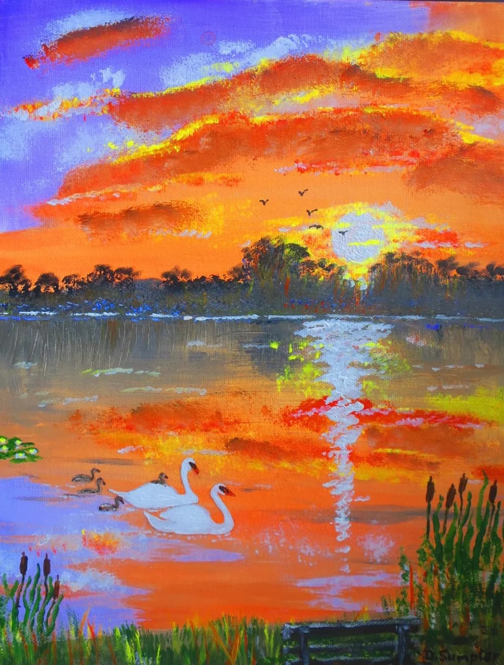 Sunset Swans