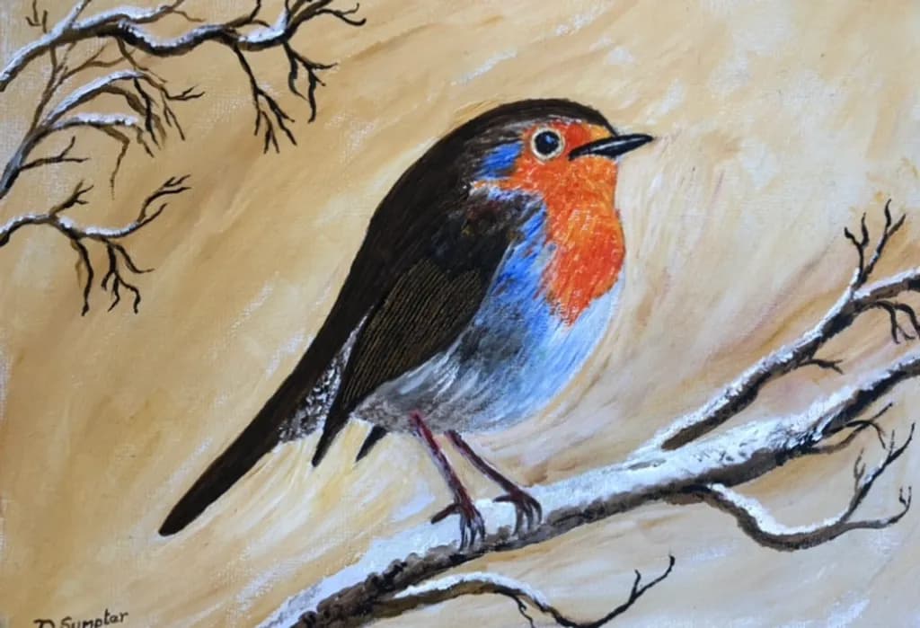 Winter Robin Perch