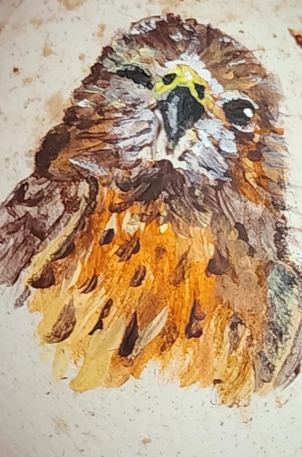 Rustfeather Hawk