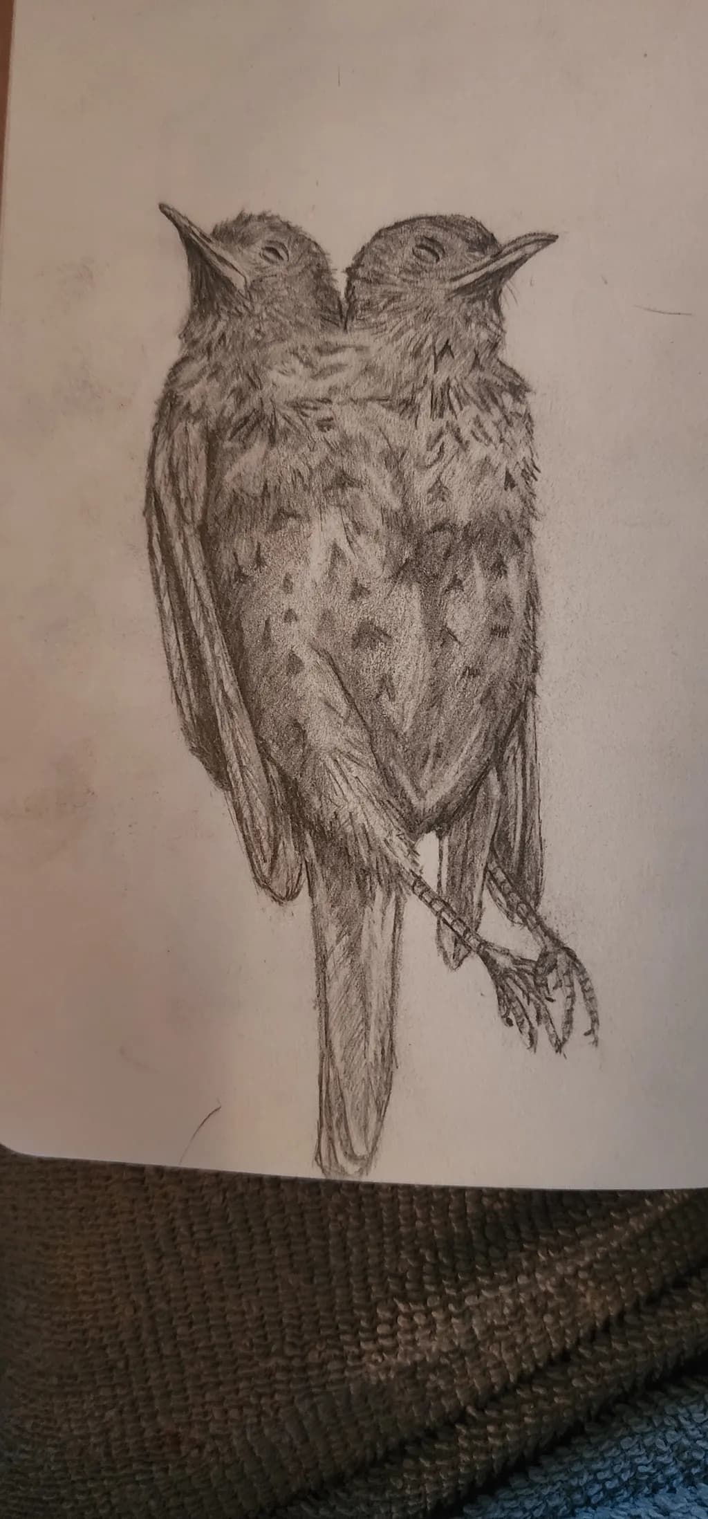 Twin Songbirds