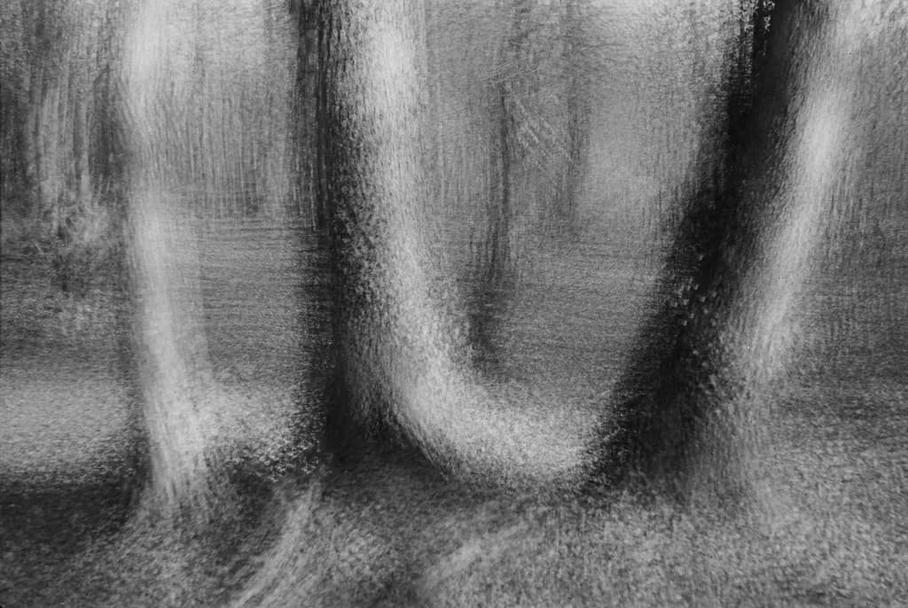 Blurred Forest Motion