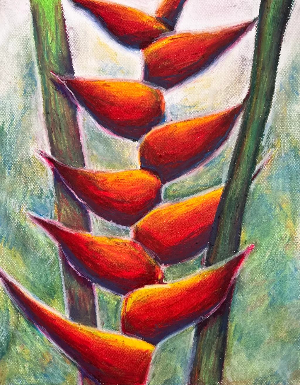 Heliconia Geometry