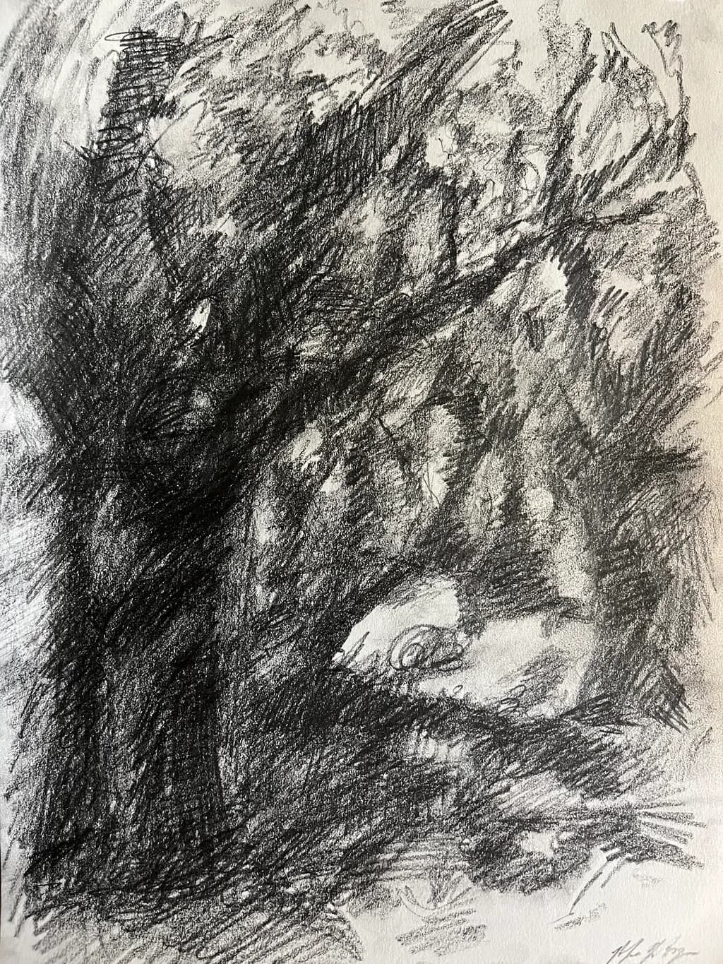 Entangled Shadows