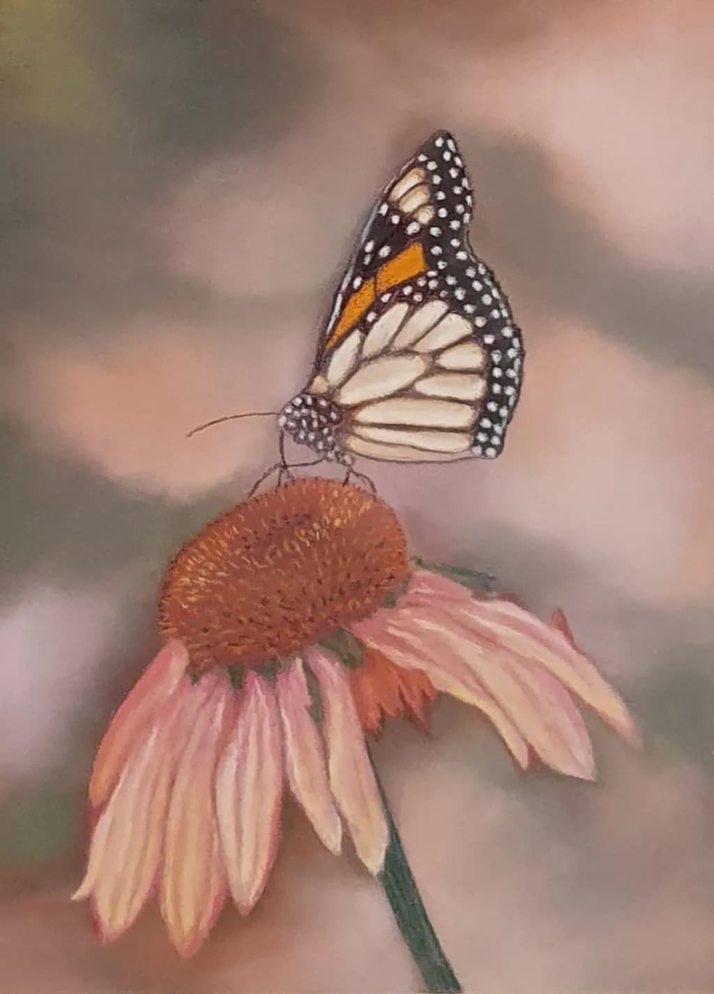 Monarch Resting