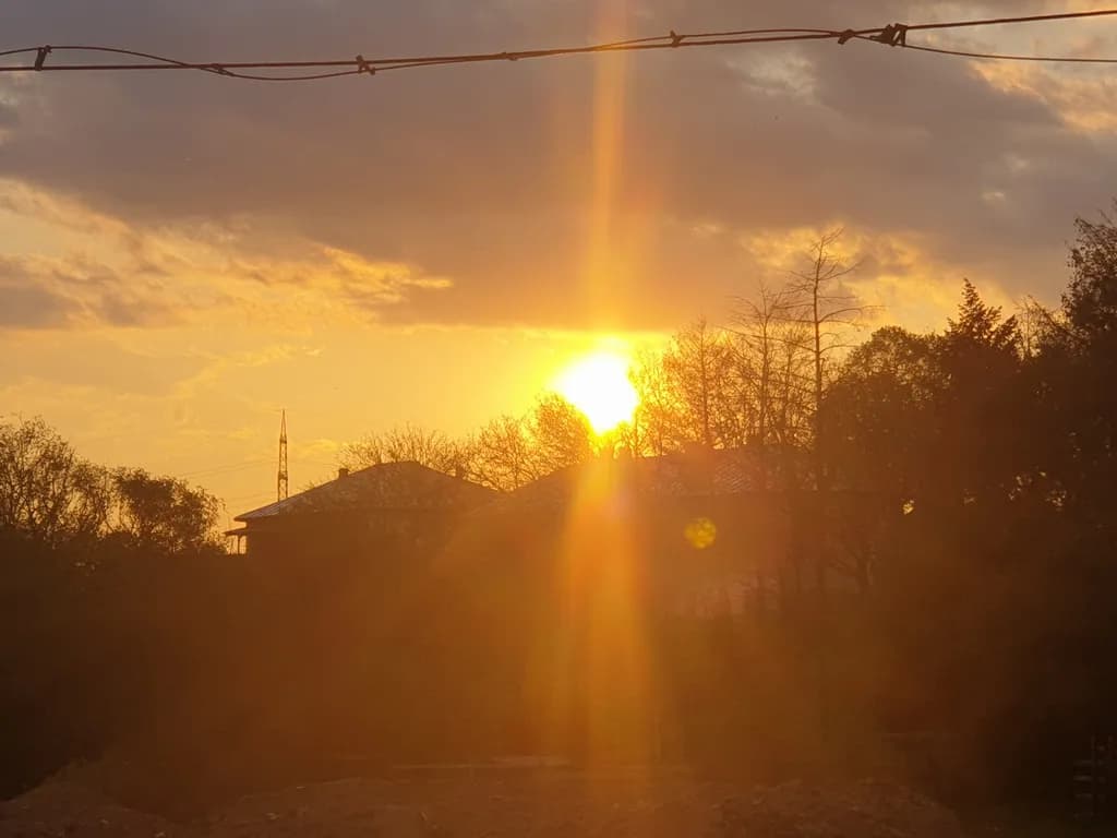 Golden Horizon