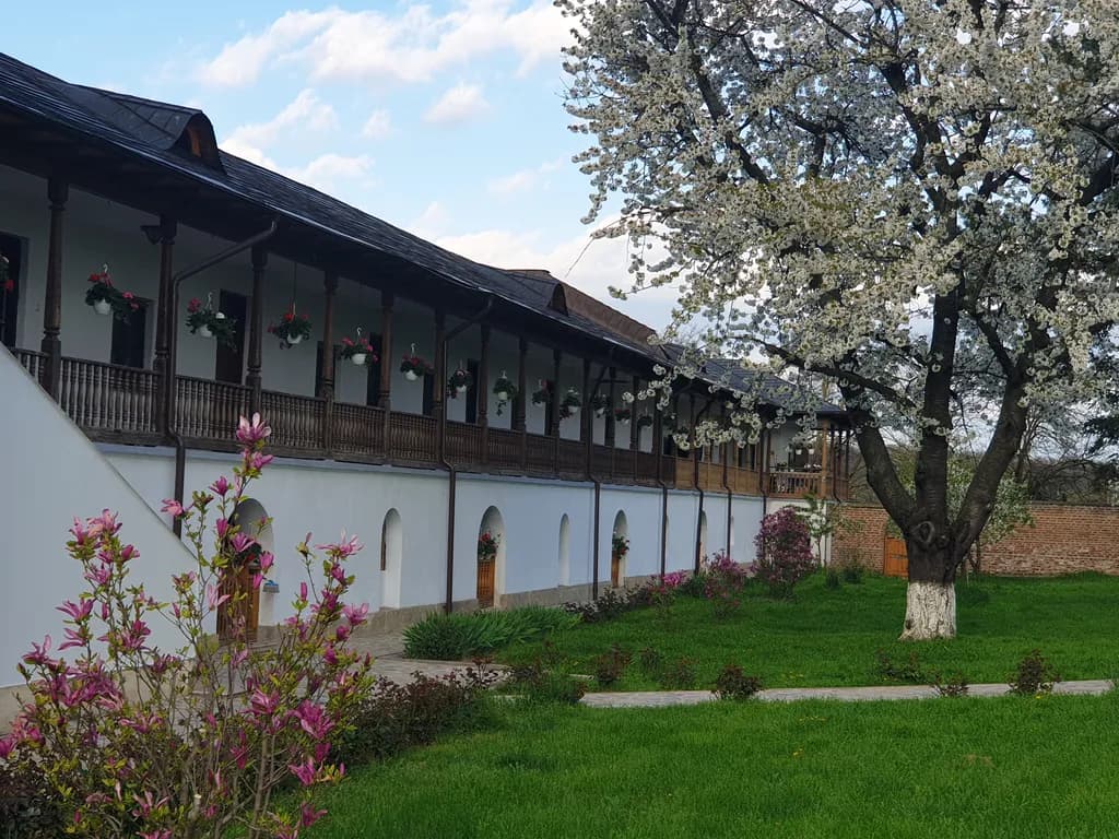 Blossoms and Balcony