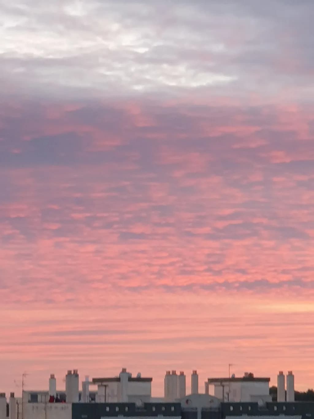 Dusky Skyline