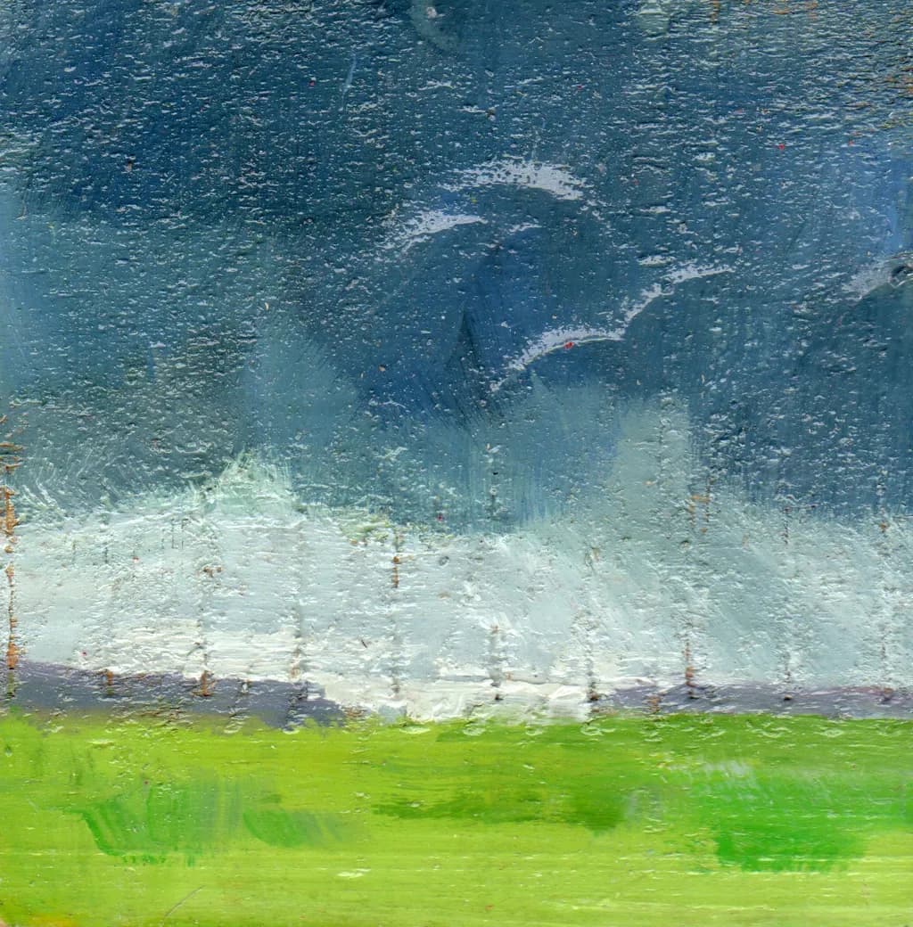 Microlandscape Stormscape