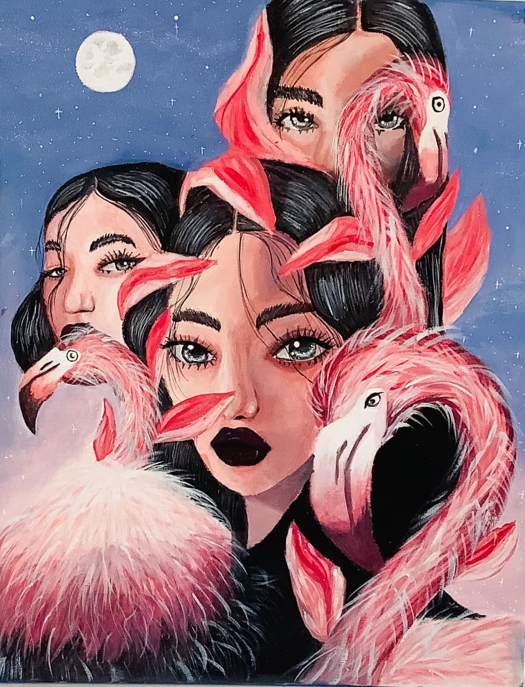 Flamingo Reflection