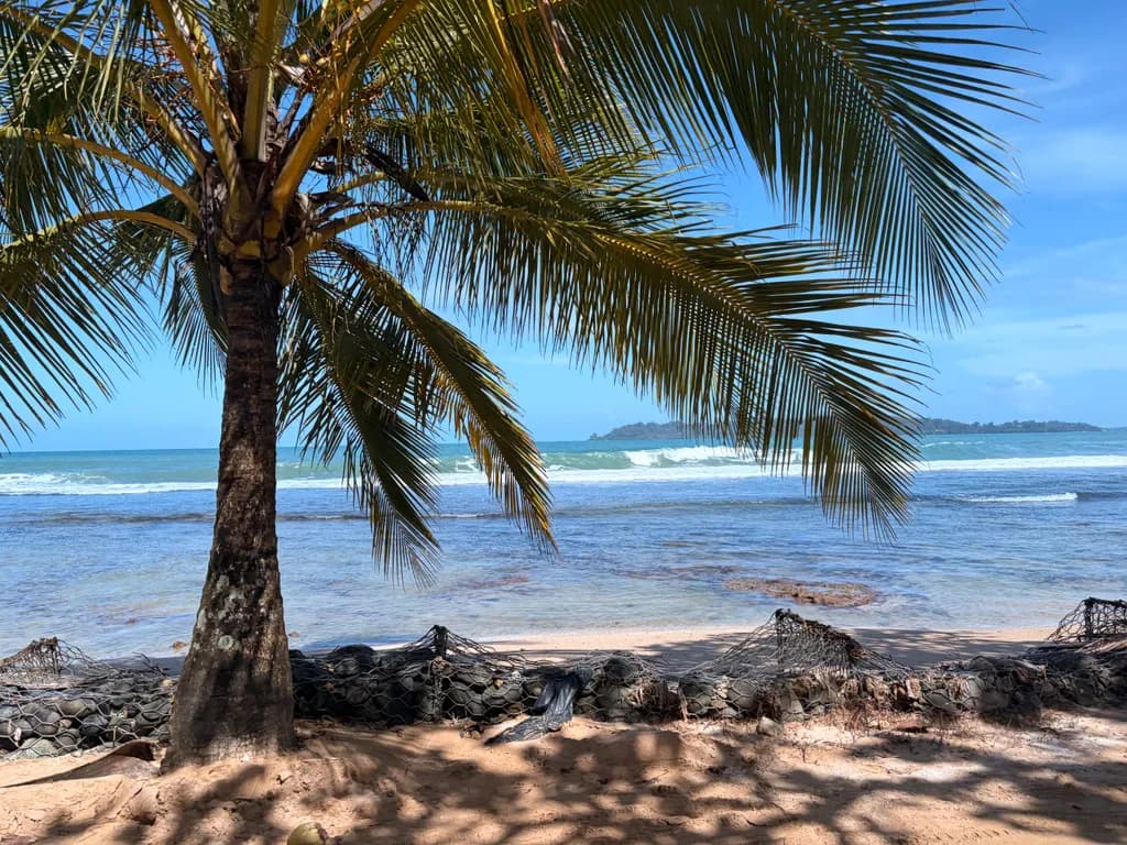 Coastal Shade