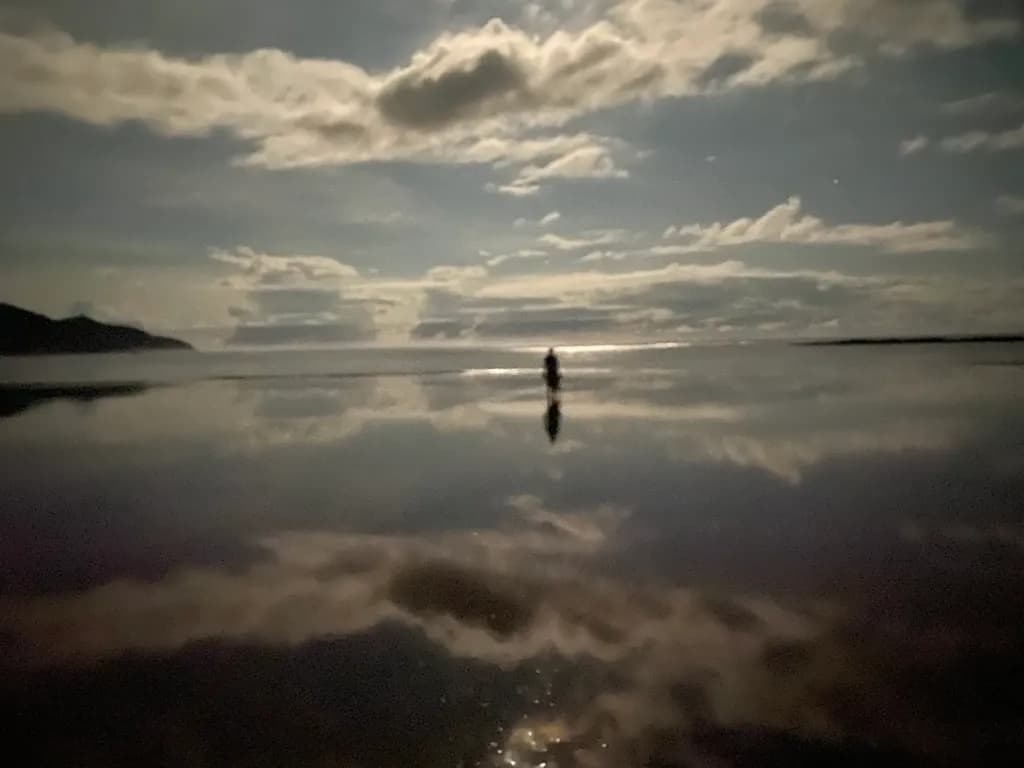 Silent Reflection
