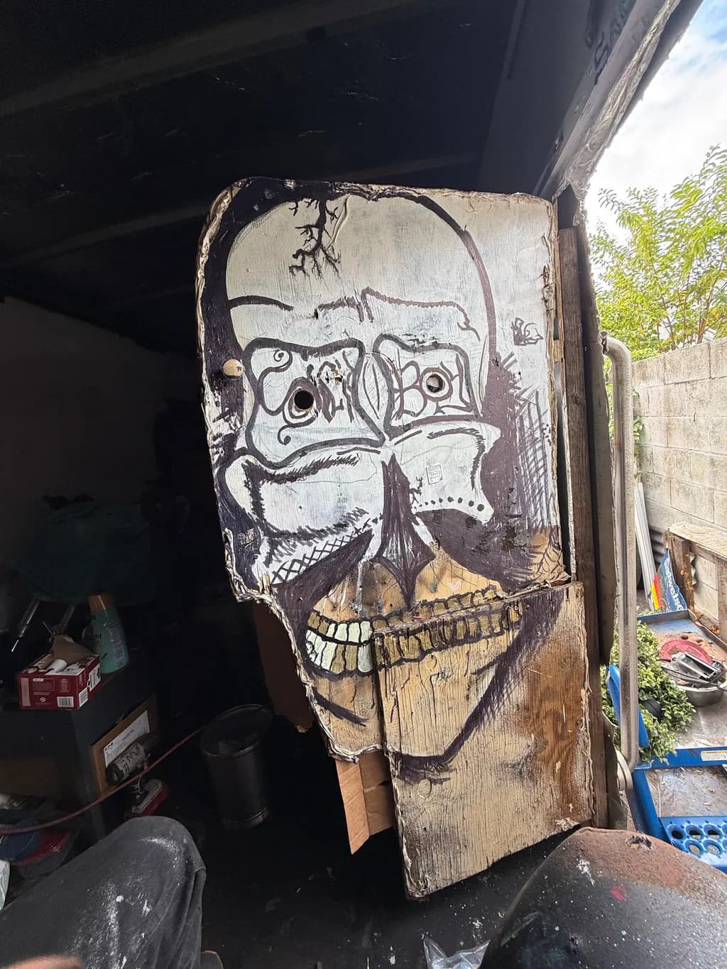 Cracked Skull Canvas