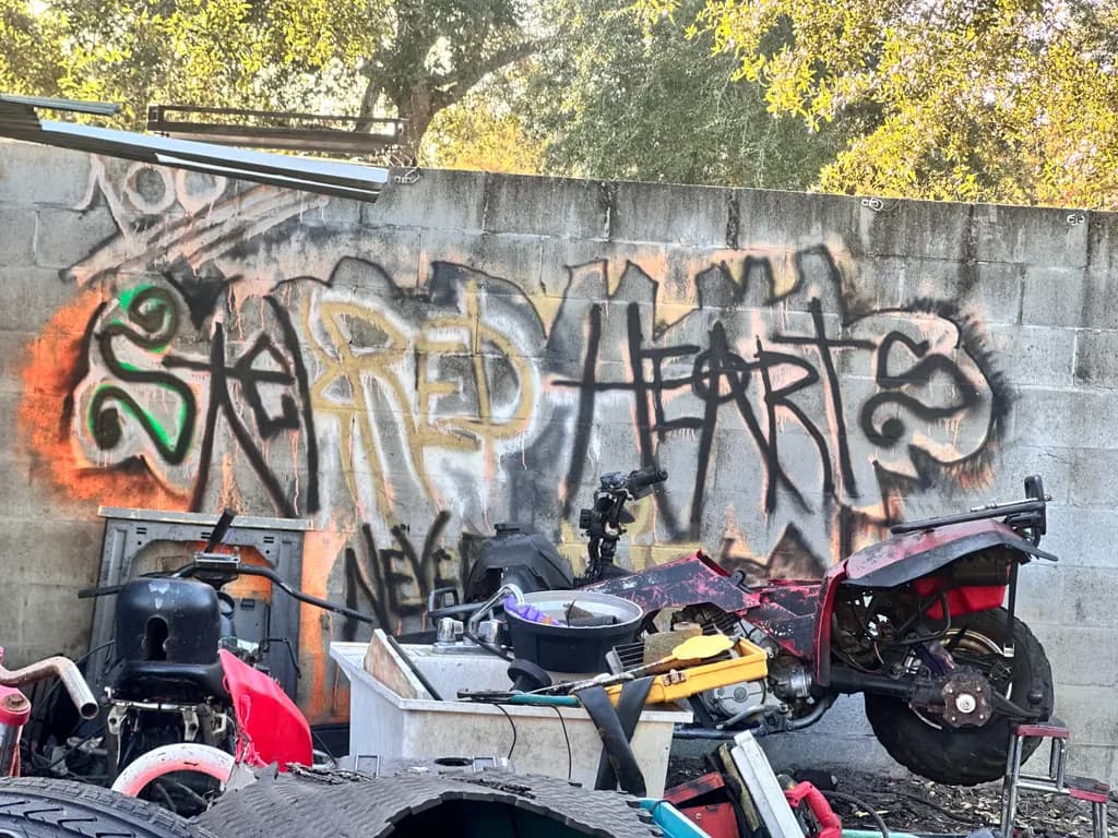 Skate Red Hearts