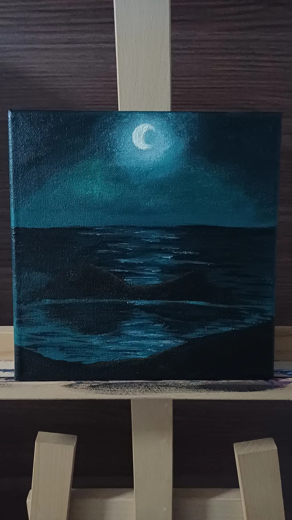 Moonlit Reflection