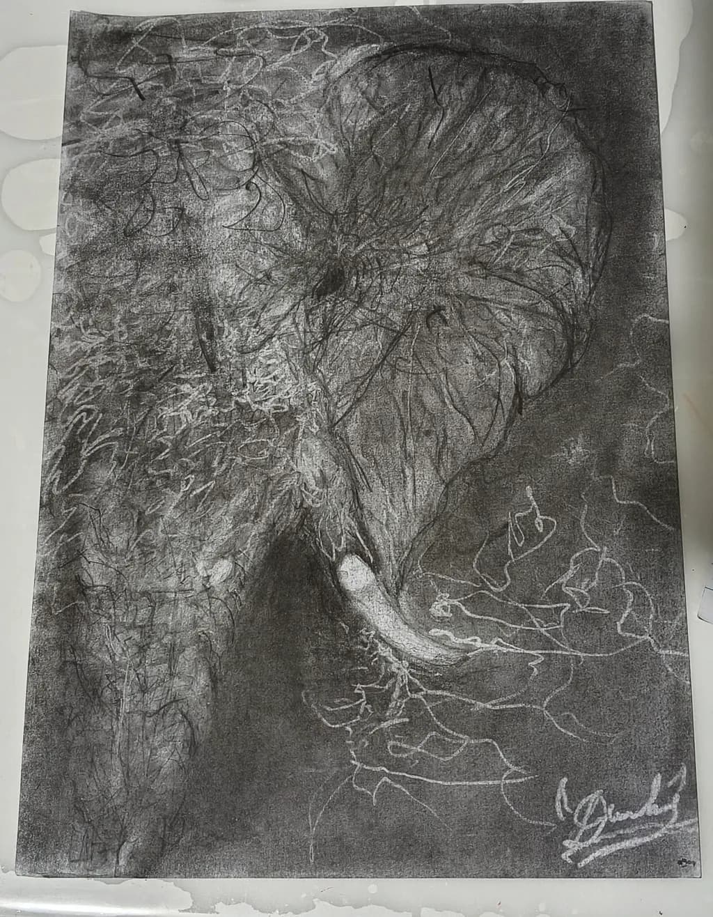 Elephant Essence