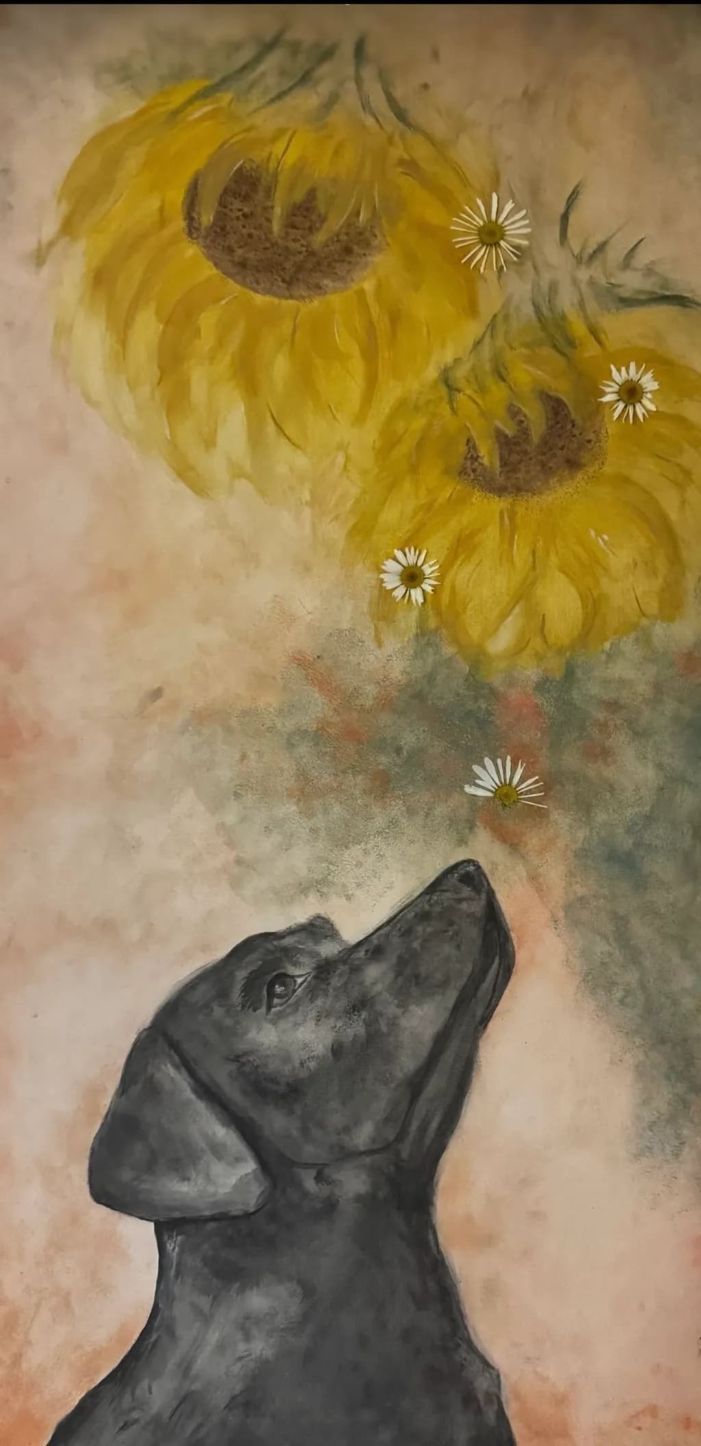 Sunflower Gaze