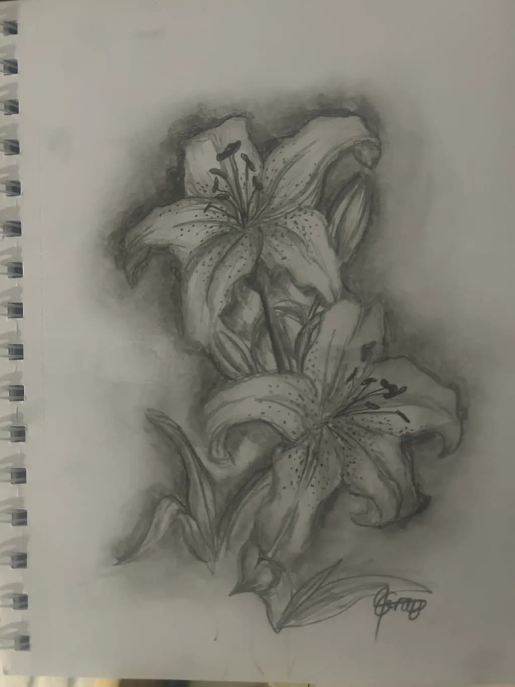 Charcoal Lilies