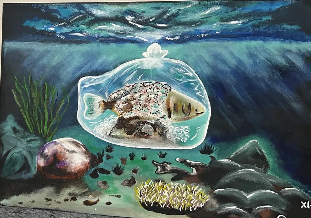 Trapped Reef
