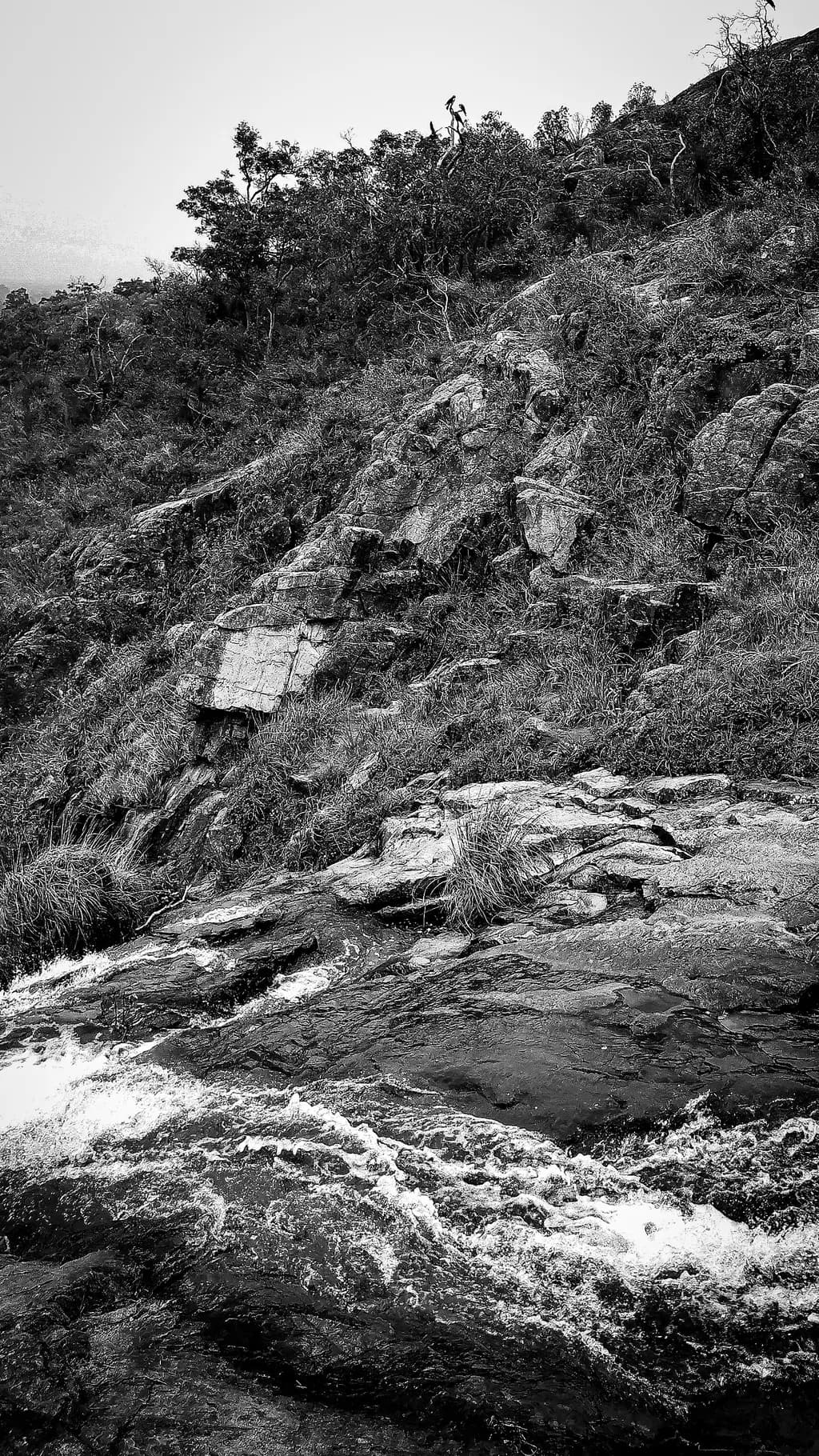 Rock Rapids