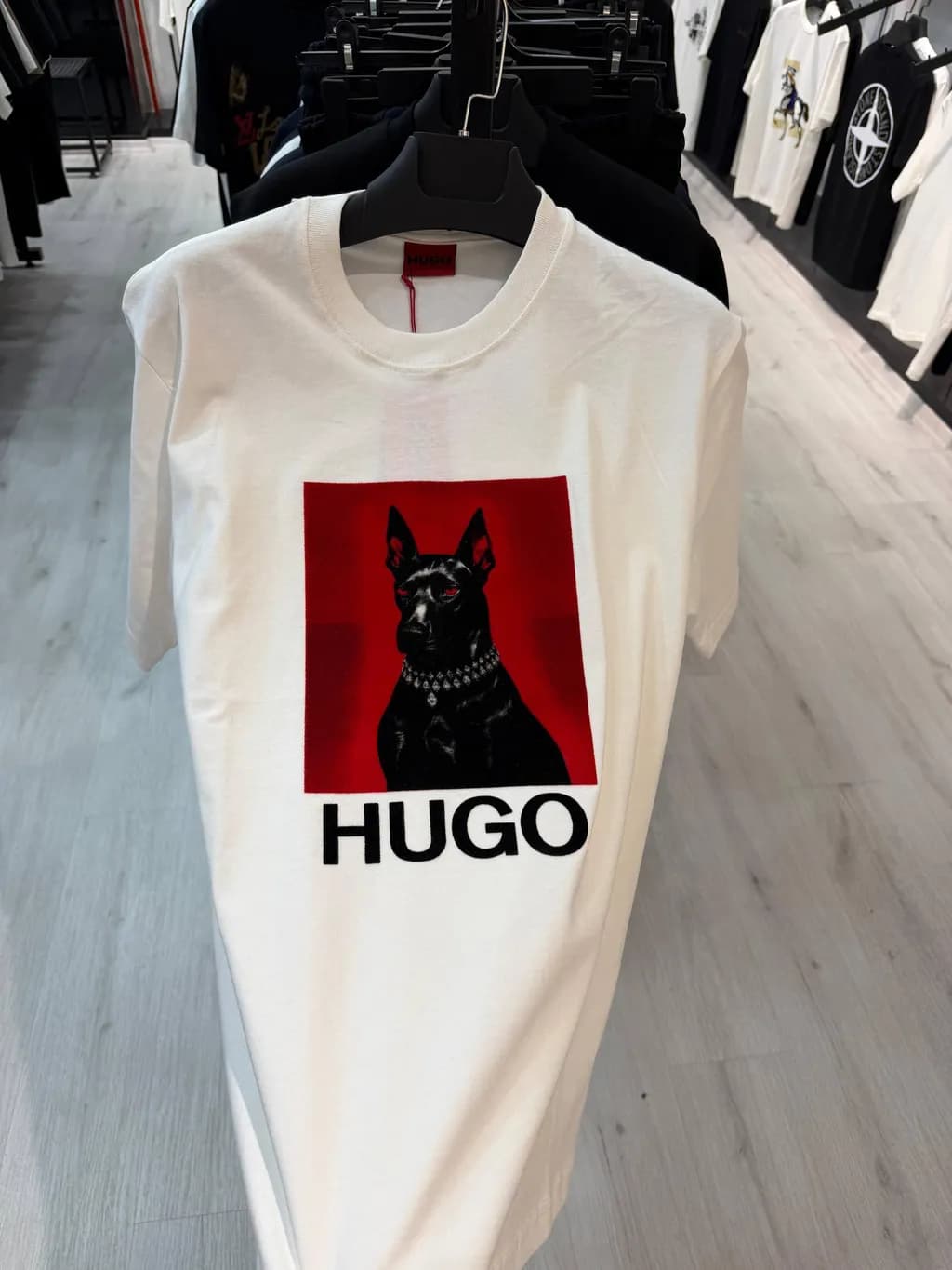 Hugo Guardian