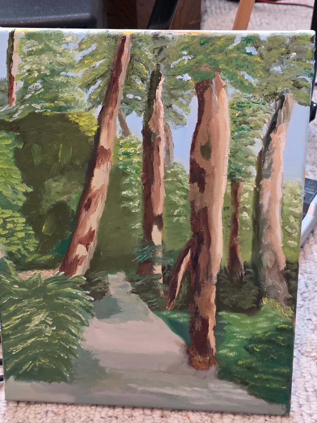 Forest Pathway