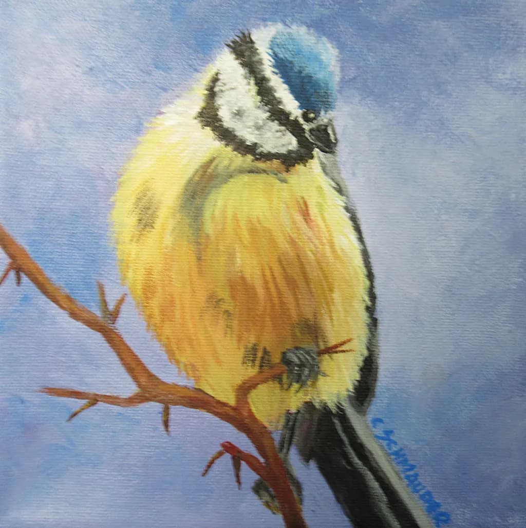Blue Tit Silent Watch