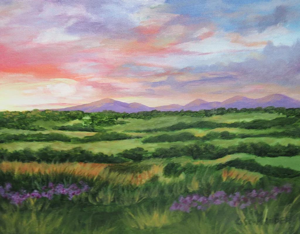 Meadow at Sunset