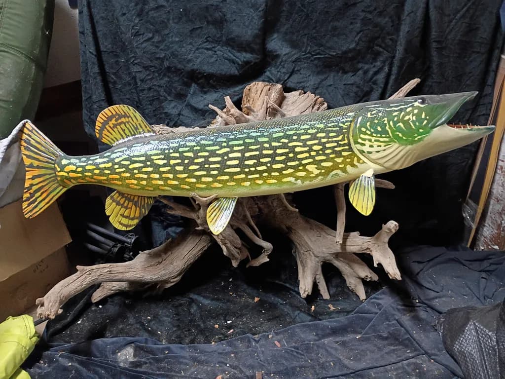 Northern Glide