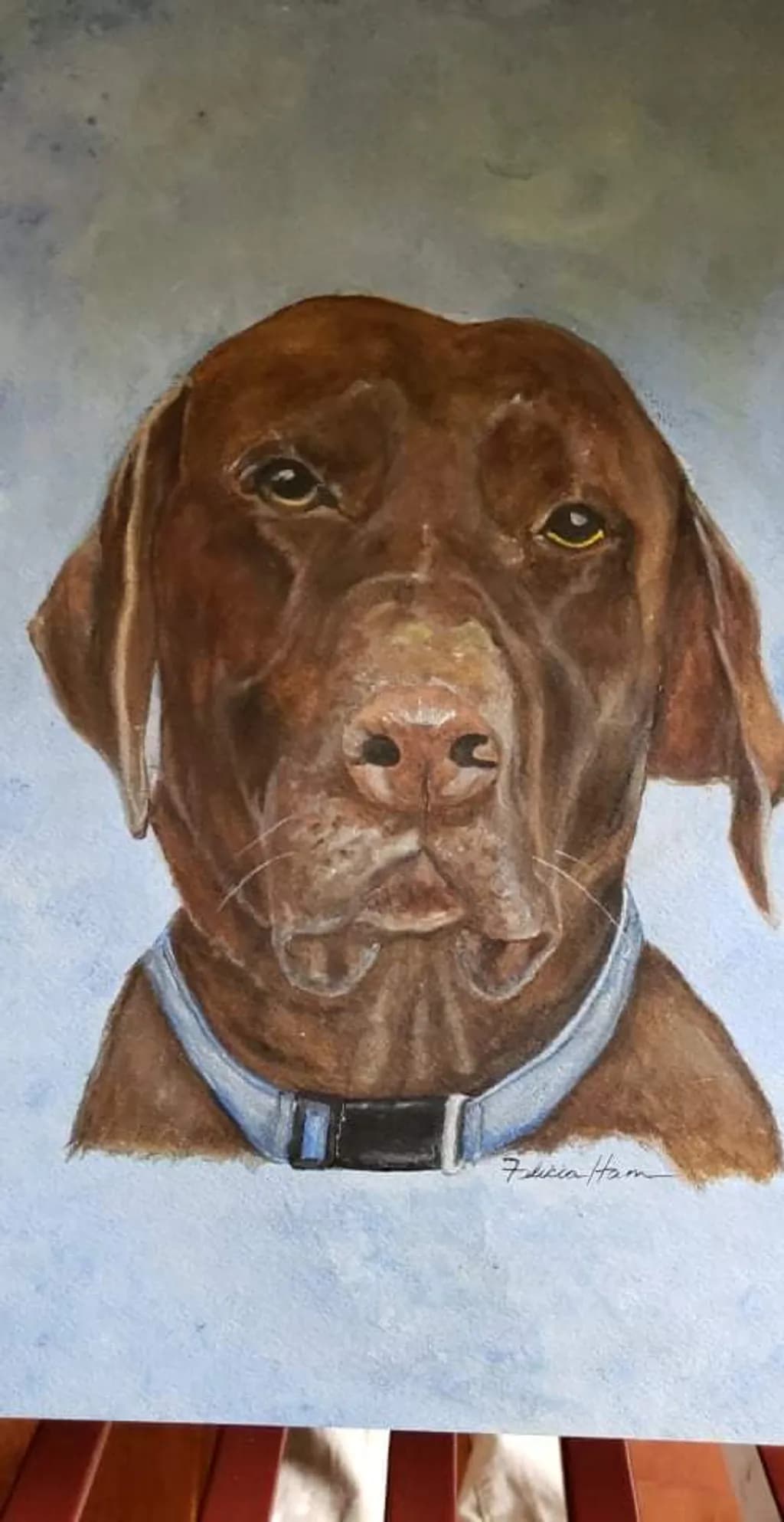 Stoic Companion