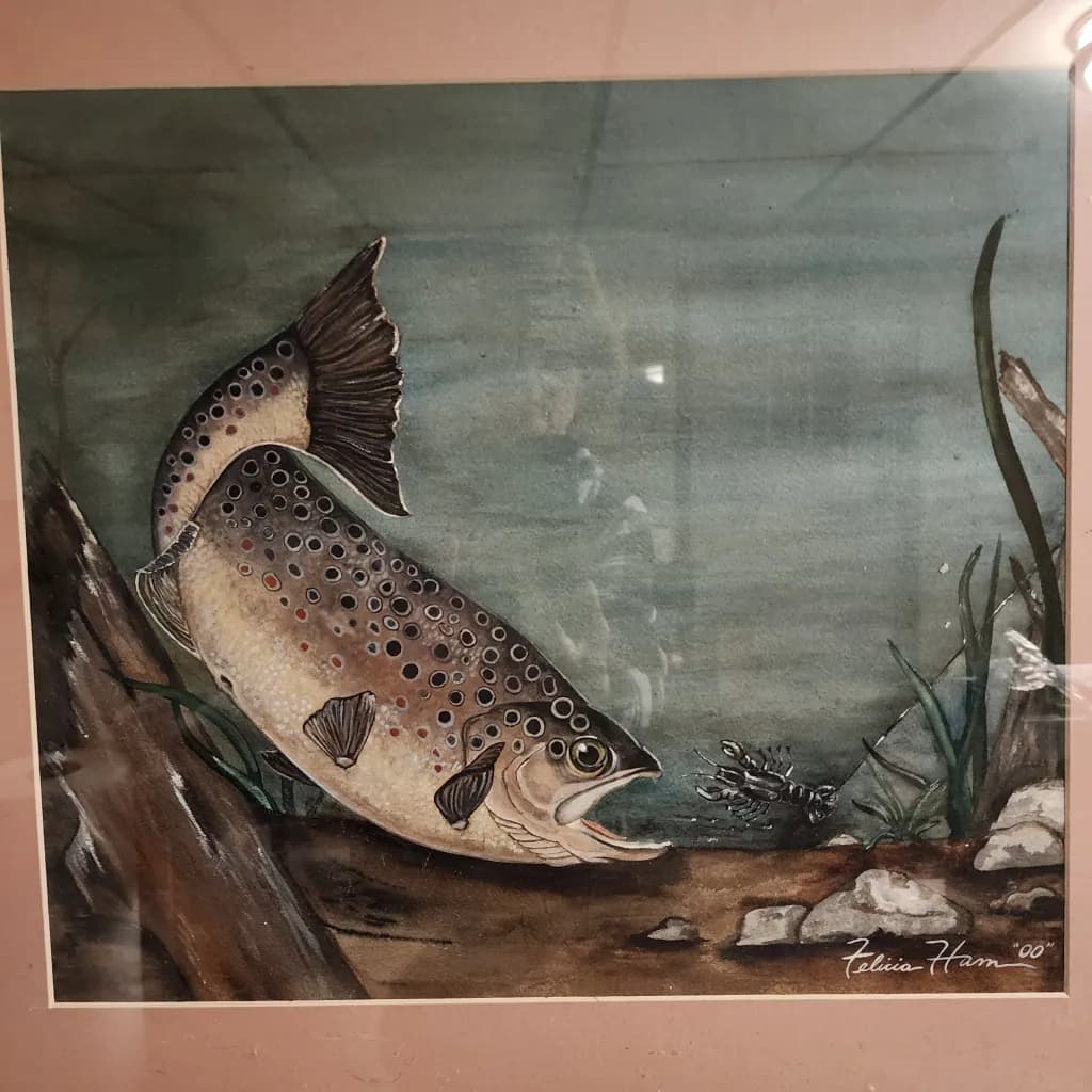 Brook Trout Chase