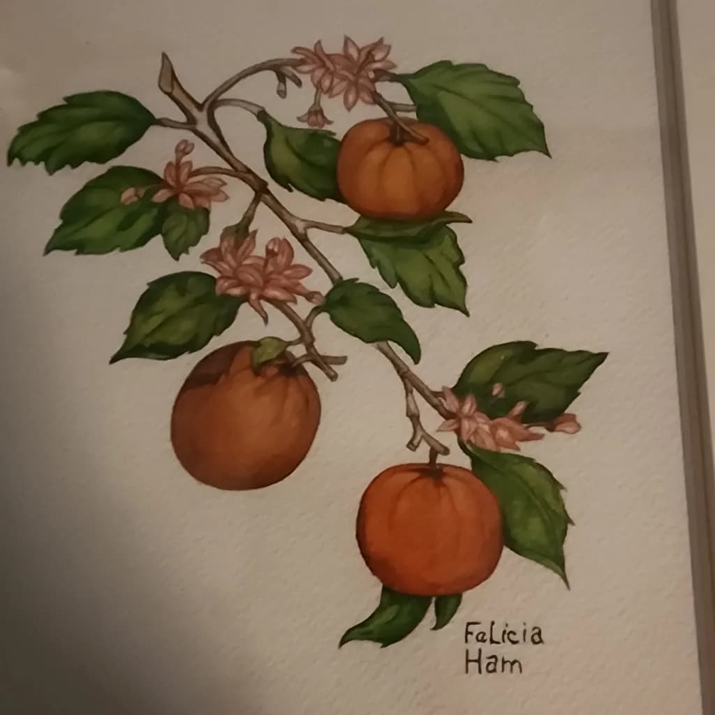 Citrus Bounty