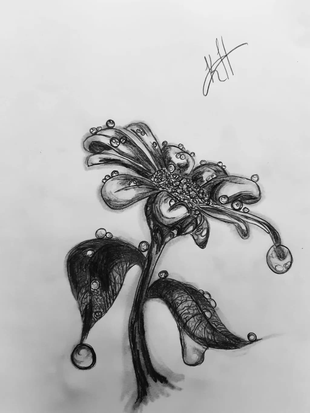 Dewdrop Bloom