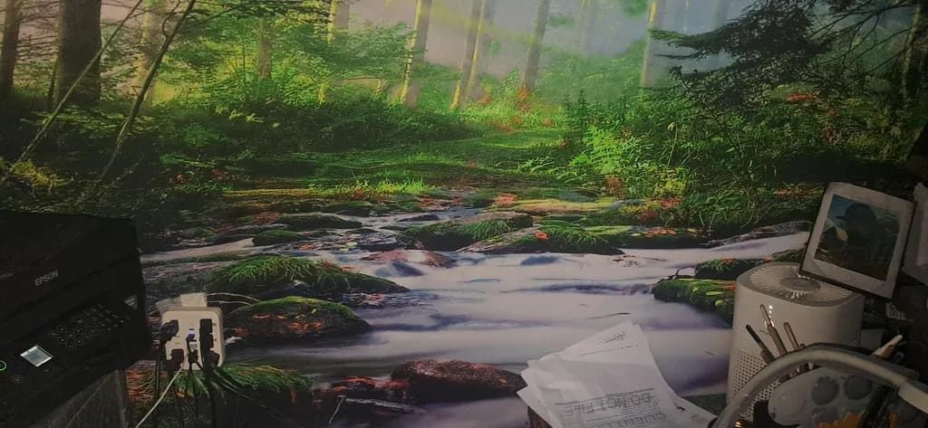 Forest Stream Reflection