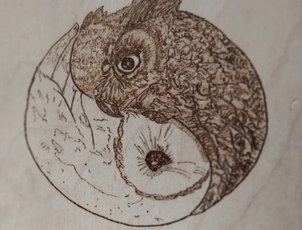 Owl's Embrace