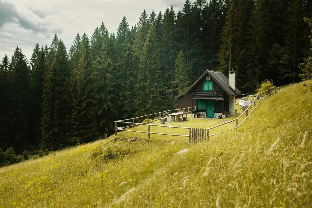 Forest Edge Cabin