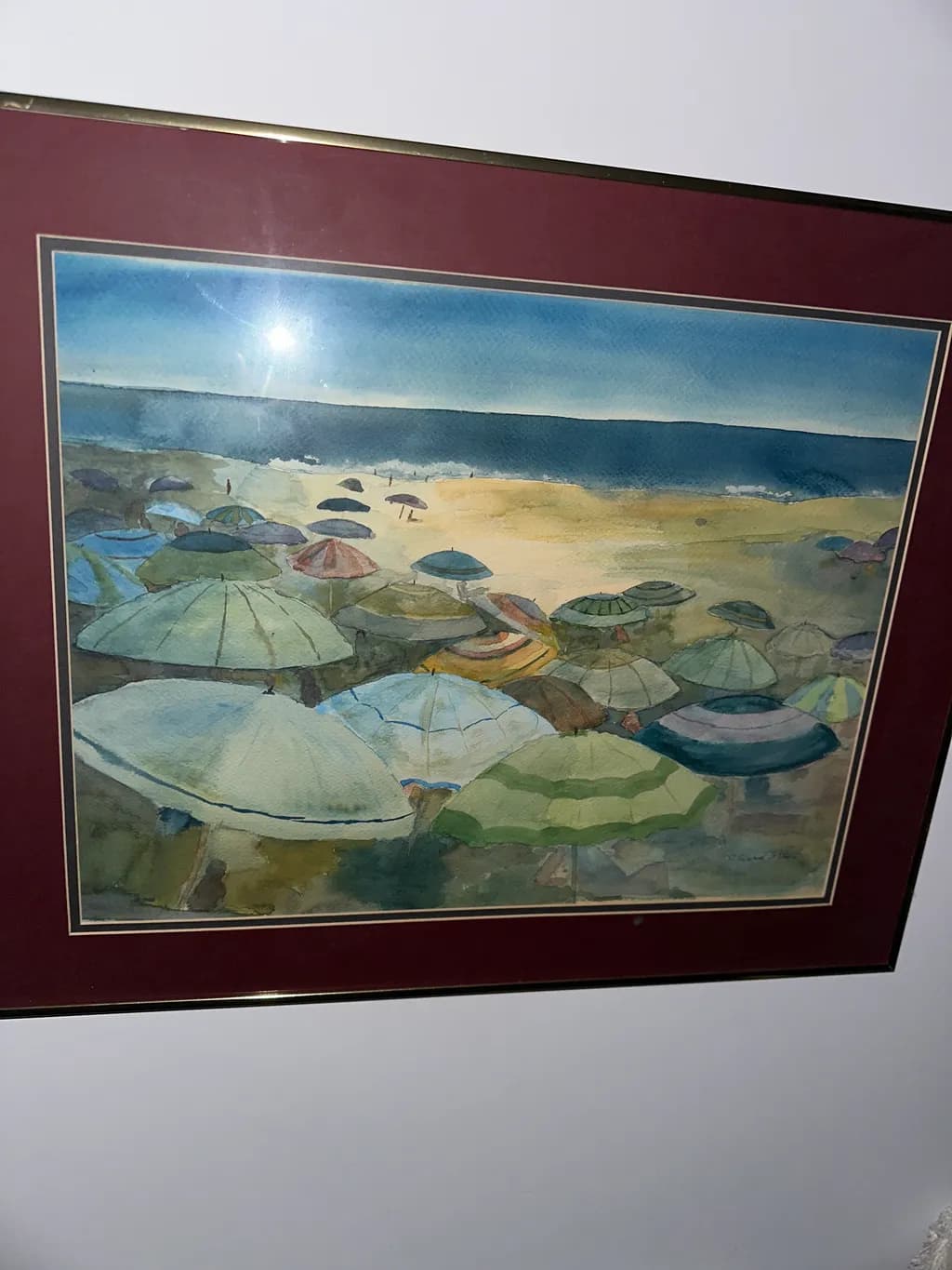 Coastal Canopies