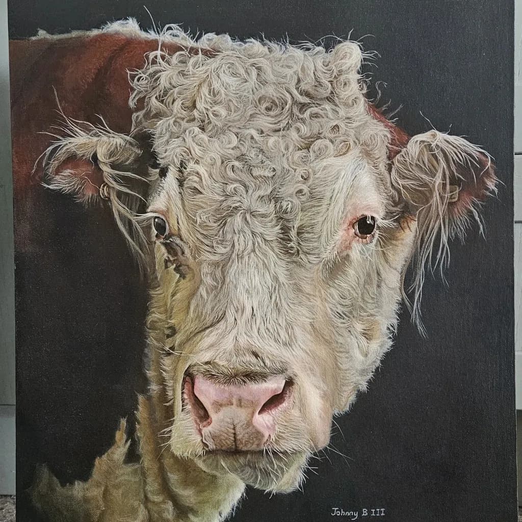 Curly-Headed Hereford