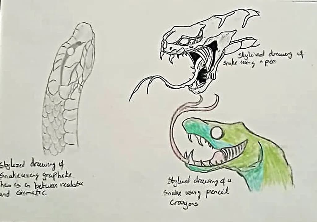 Stylized Snake Studies