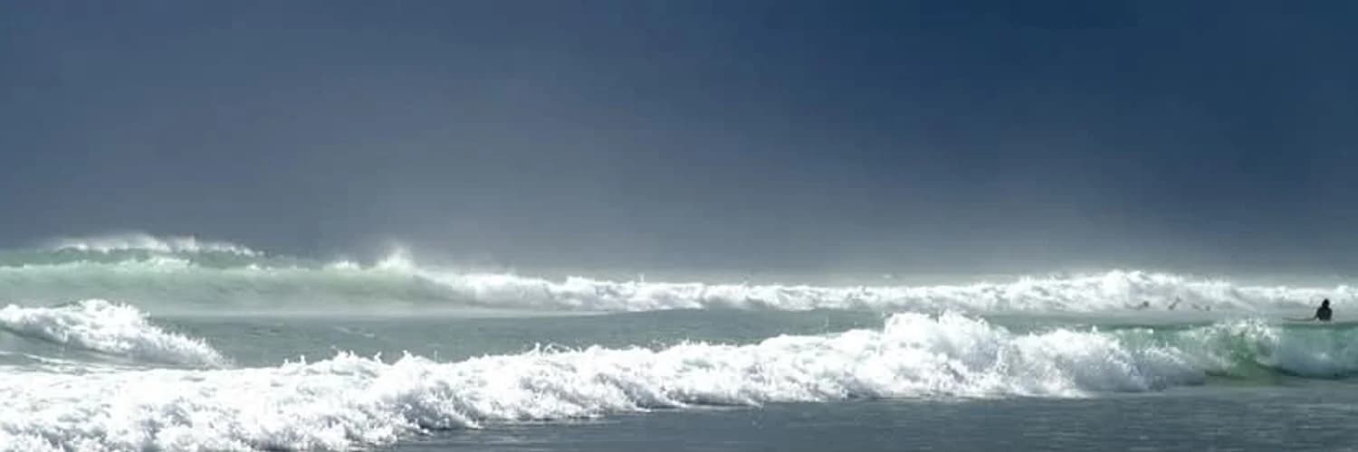 Banner del perfil