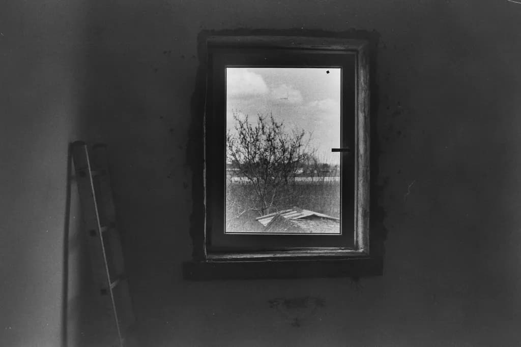 Framed View