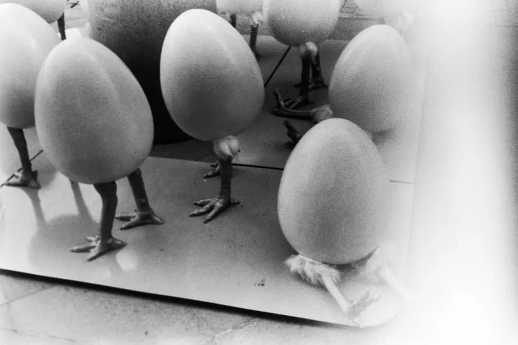 Eggwalkers