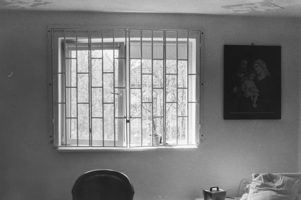 Through the Bars